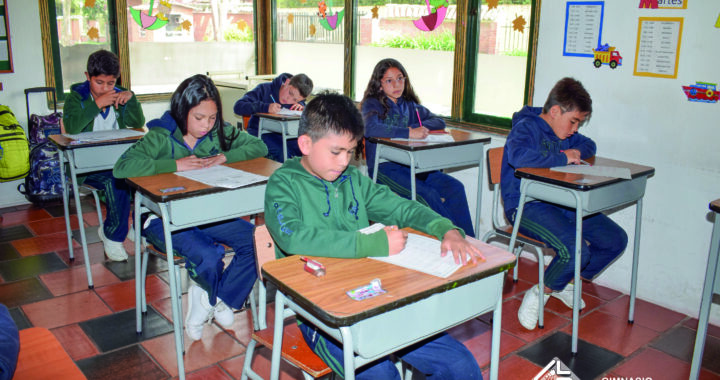 Día del idioma Gimnasio los Robles