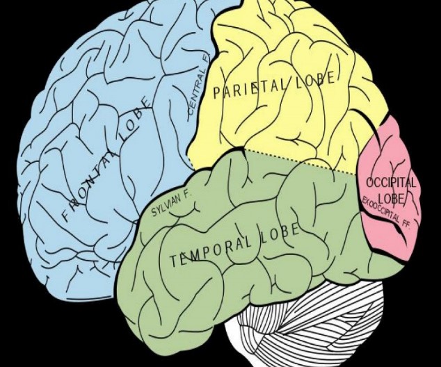 Didáctica y pedagogía desde las emociones con fundamento en la neurociencia: Aplicaciones pedagógicas y didácticas dentro y fuera del aula (Entrega 6)